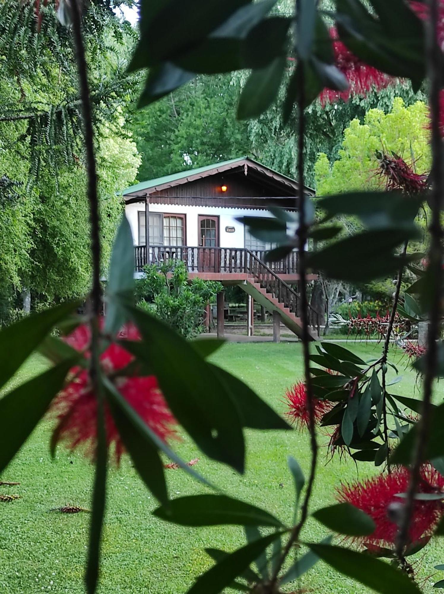 טיגרה Alpenhaus Bier Und Gasthaus מראה חיצוני תמונה